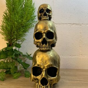 Calavera con jaguar