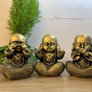 Set de virtud budas