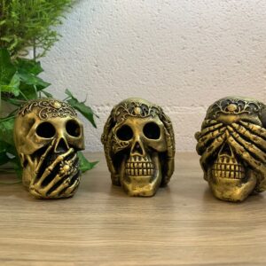 Set de virtud calaveras