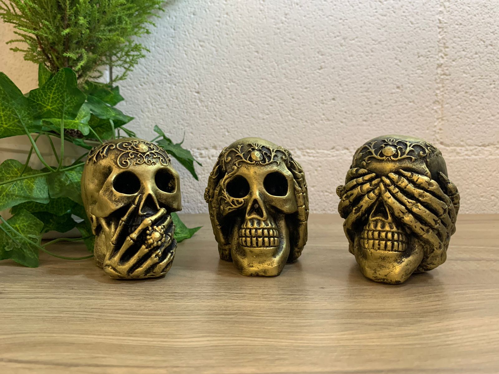 Set de virtud calaveras